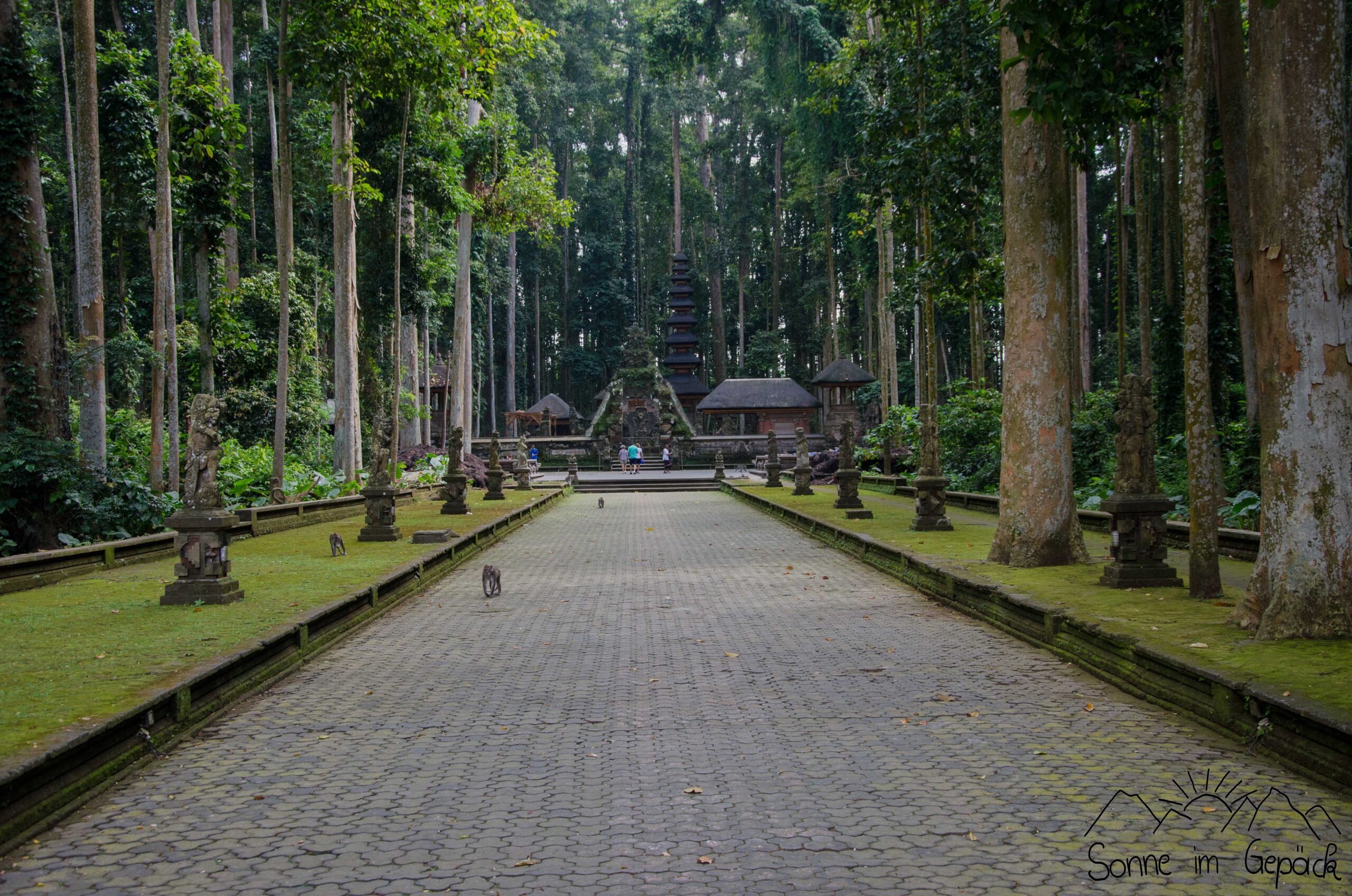 Bali: Rundreise auf der Insel der Götter. Reisebericht