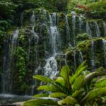 Wasserfall mit Kaskaden läuft über den Dschungel.