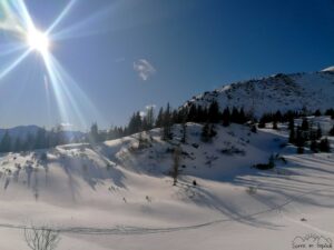 Winterlandschaft an einem sonnigen Tag.