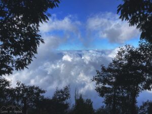 Wolkendecke gerahmt von Bäumen.