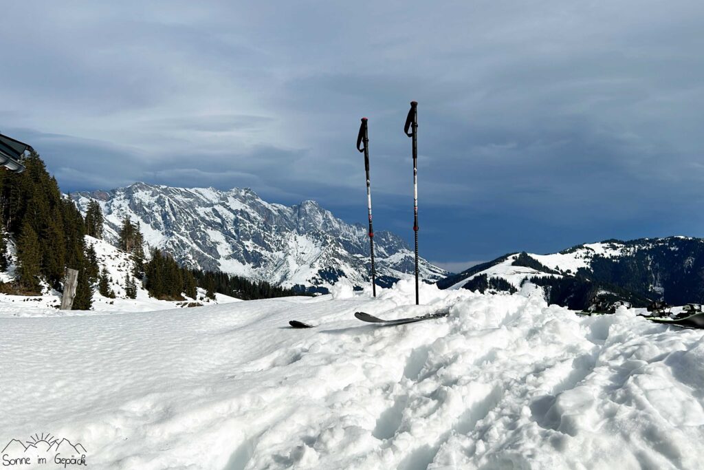 Ski mit Bergkulisse.